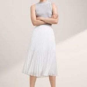 Aritzia Babaton Jude Skirt